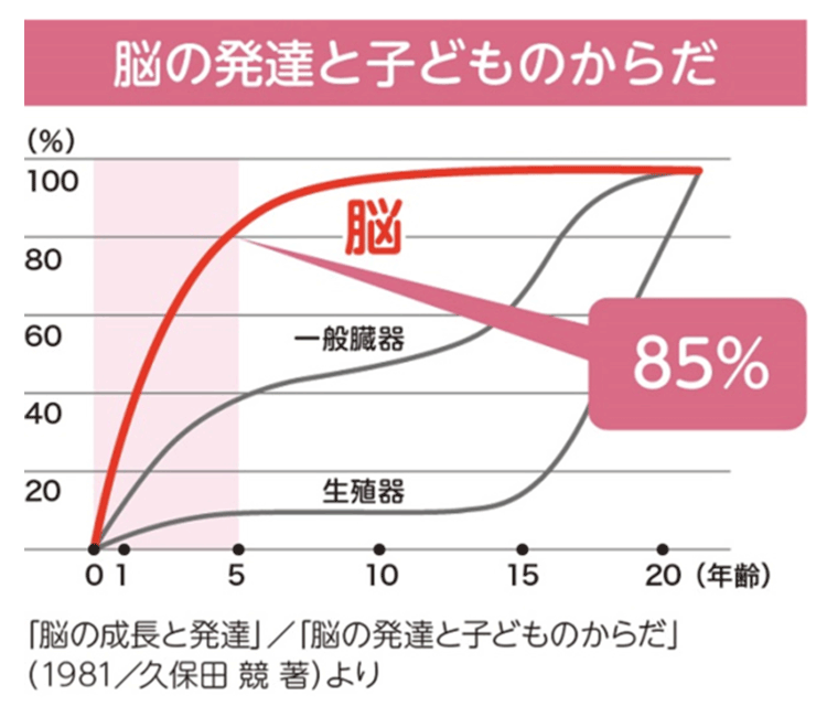 脳の発達と子どもの身体「脳の成長と発達・0歳～5歳で85%まで成長する」